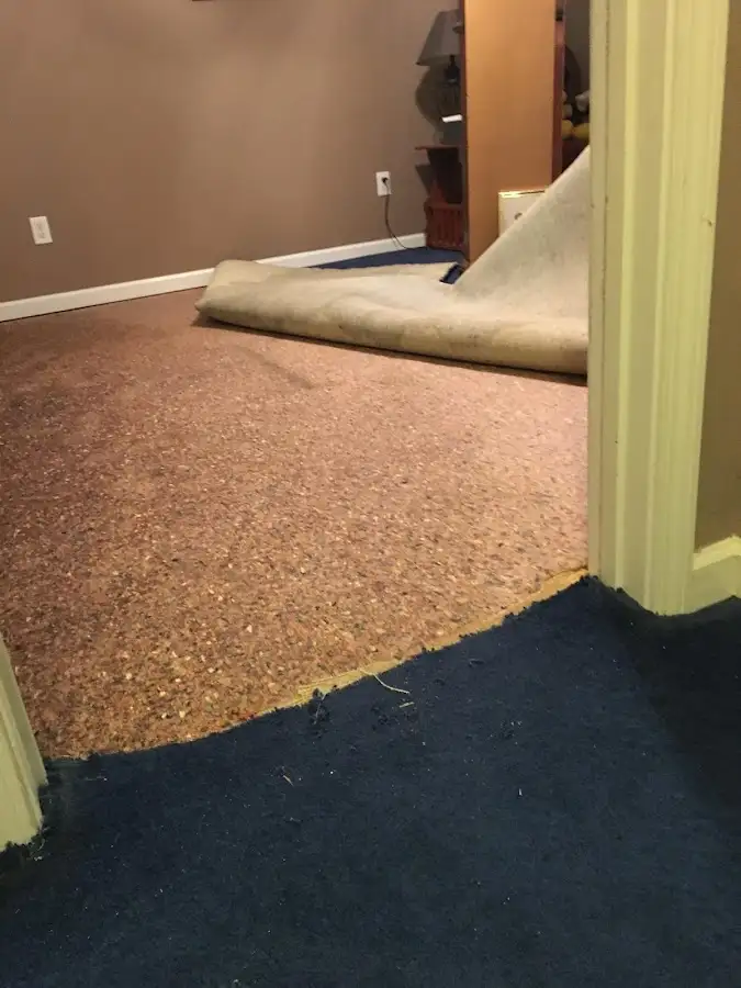 Carpet pad removal revealing water damage during Water Mitigation Services in Esopus