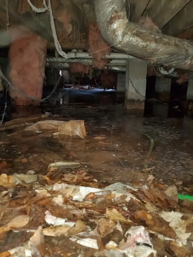 Crawl space flood assessment for Leak Detection & Repair in Esopus