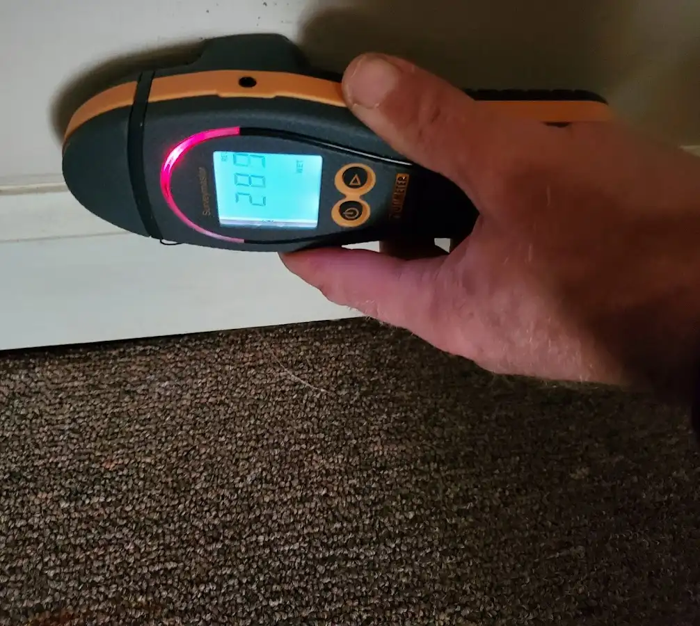 Moisture detection at baseboard during Sewage Cleanup & Sanitation in Esopus